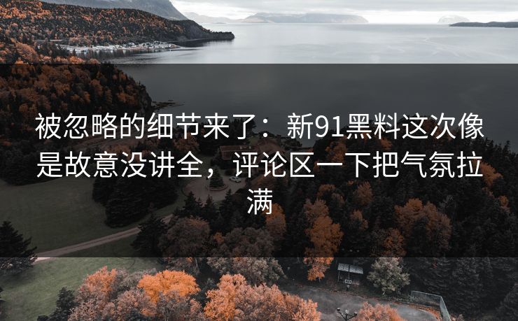 被忽略的细节来了：新91黑料这次像是故意没讲全，评论区一下把气氛拉满